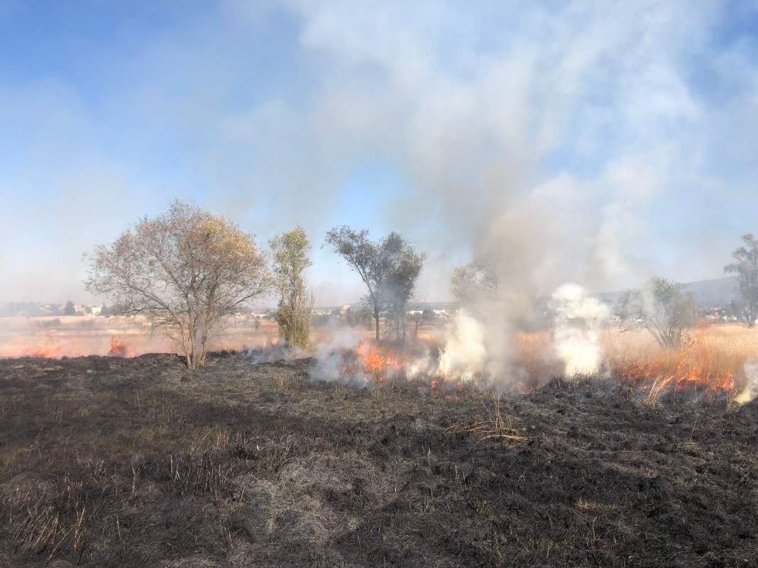 Foto: Cortesía Protección Civil de Tlaxcala controla incendios de pastizales en la capital