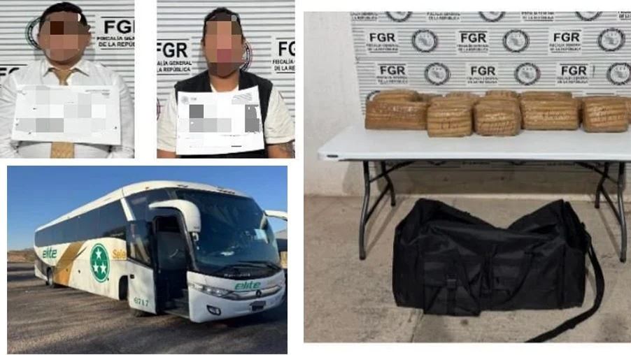 Foto: Cortesía Detienen a dos en Sonora por transporte de marihuana en autobús