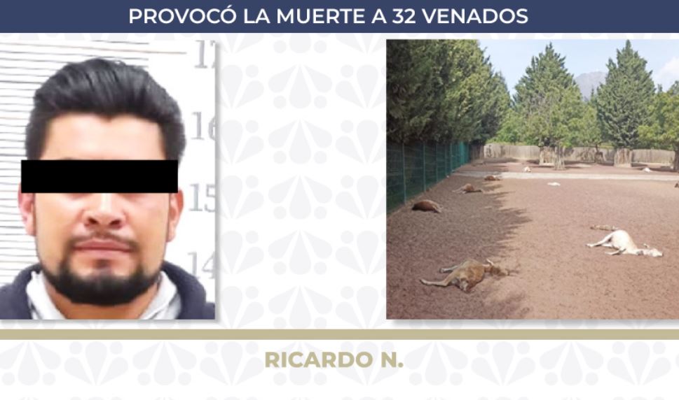 Foto: Cortesía Puebla: Sentencian a 6 años de prisión a hombre por matar 32 venados