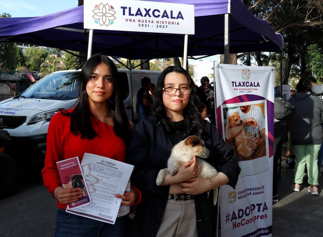 Foto: Cortesía ¡Adogtame 2025 inicia con éxito! 12 perritos encuentran un hogar