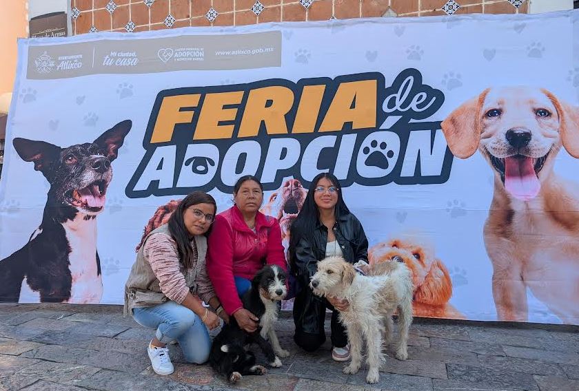 Foto: Cortesía Adopta un perrito rescatado en Atlixco y dale una segunda oportunidad