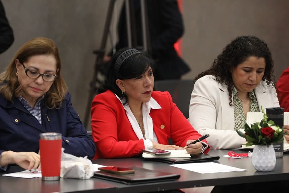 Foto: Cortesía "Aquí estaremos siempre defendiendo a los mexicanos": se pronuncia Anabell Ávalos ante Senado