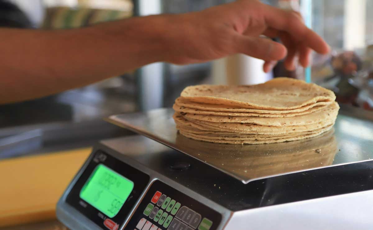 Foto: Cortesía Precio de la tortilla se mantiene estable en 2025: Profeco