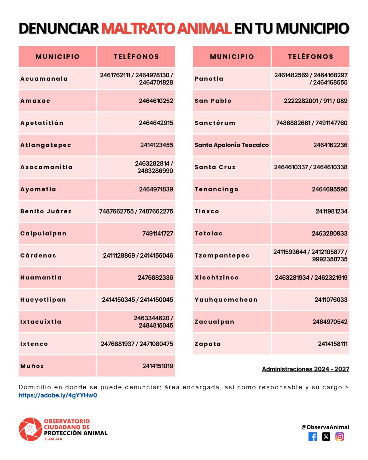 Solo 29 municipios en Tlaxcala cuentan con vías para denunciar maltrato animal: OCPA