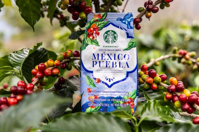 Foto: Cortesía Starbucks lanza café único de Puebla: sabores y tradición en cada taza