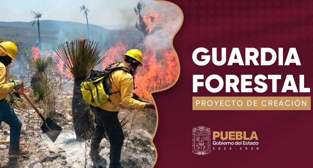 Foto: Cortesía La Guardia Forestal en Puebla: clave para combatir incendios y reforestar