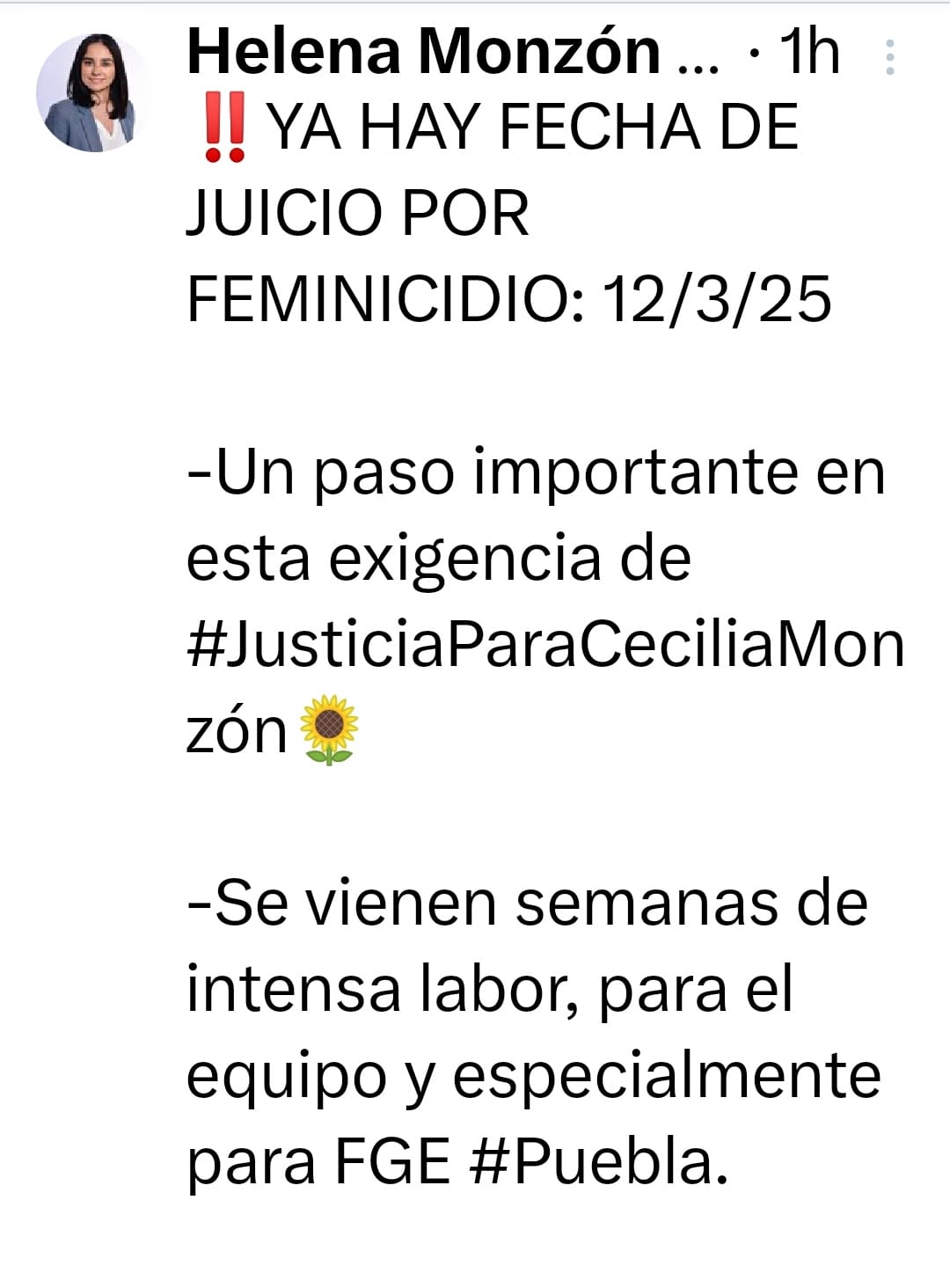 Por: Cortesía Lula Pineda Juicio contra responsables del feminicidio de Cecilia Monzón: Marzo 12