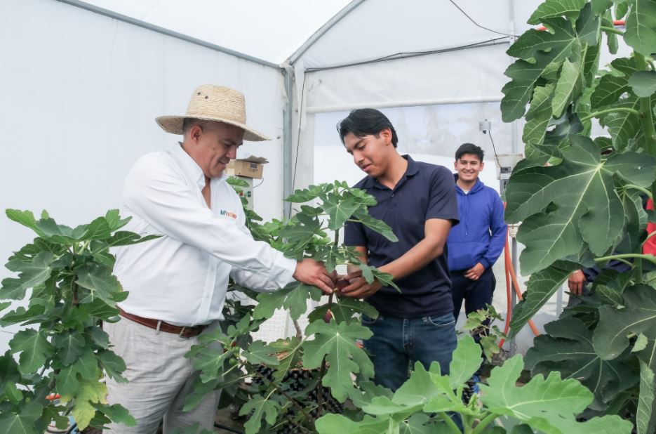 Foto: Cortesía UTTecam impulsa la educación agrícola con módulos hidropónicos