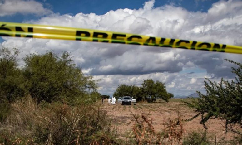 Foto: Cortesía Hallan sin vida a Sofía Raygoza en Zacatecas tras dos años de denunciar