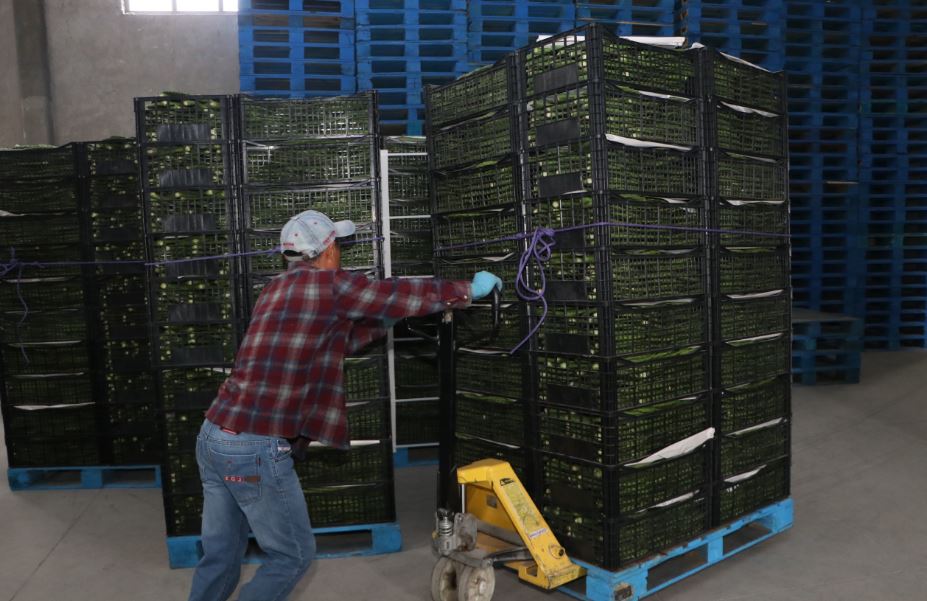 Foto: Cortesía Puebla impulsa el transporte aéreo de productos agrícolas con Aeropuerto de Huejotzingo