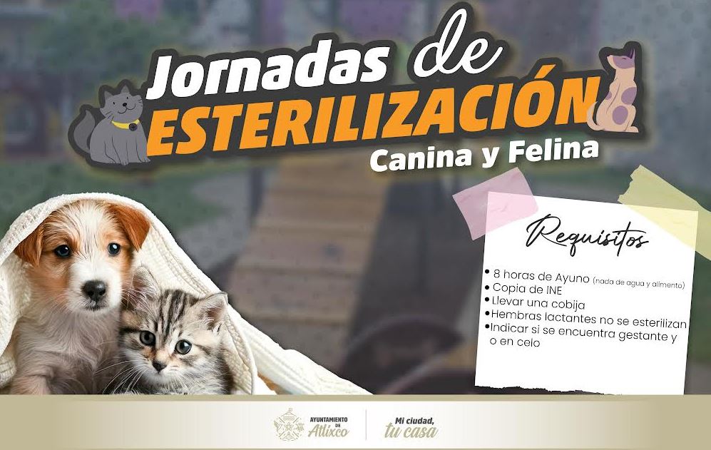 Foto: Cortesía Esterilización gratuita en Atlixco: protege a tu mascota este febrero