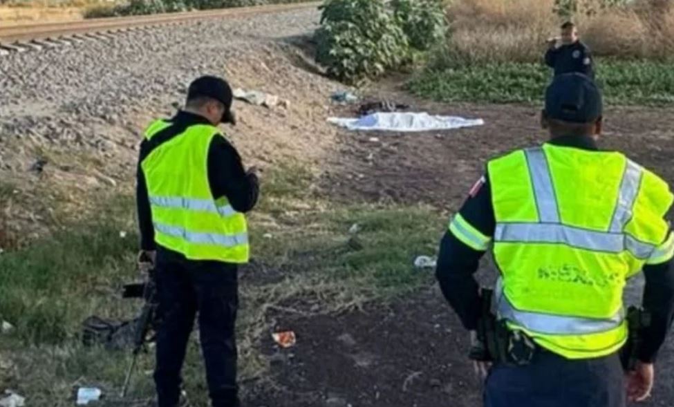 Foto: Cortesía Hallan cadáver devorado por perros en Ecatepec; investigan las causas