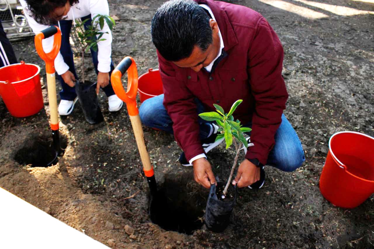 Comunicado oficial Impulsa Coronango el cuidado del medio ambiente con reforestación y programa Adopta un Árbol