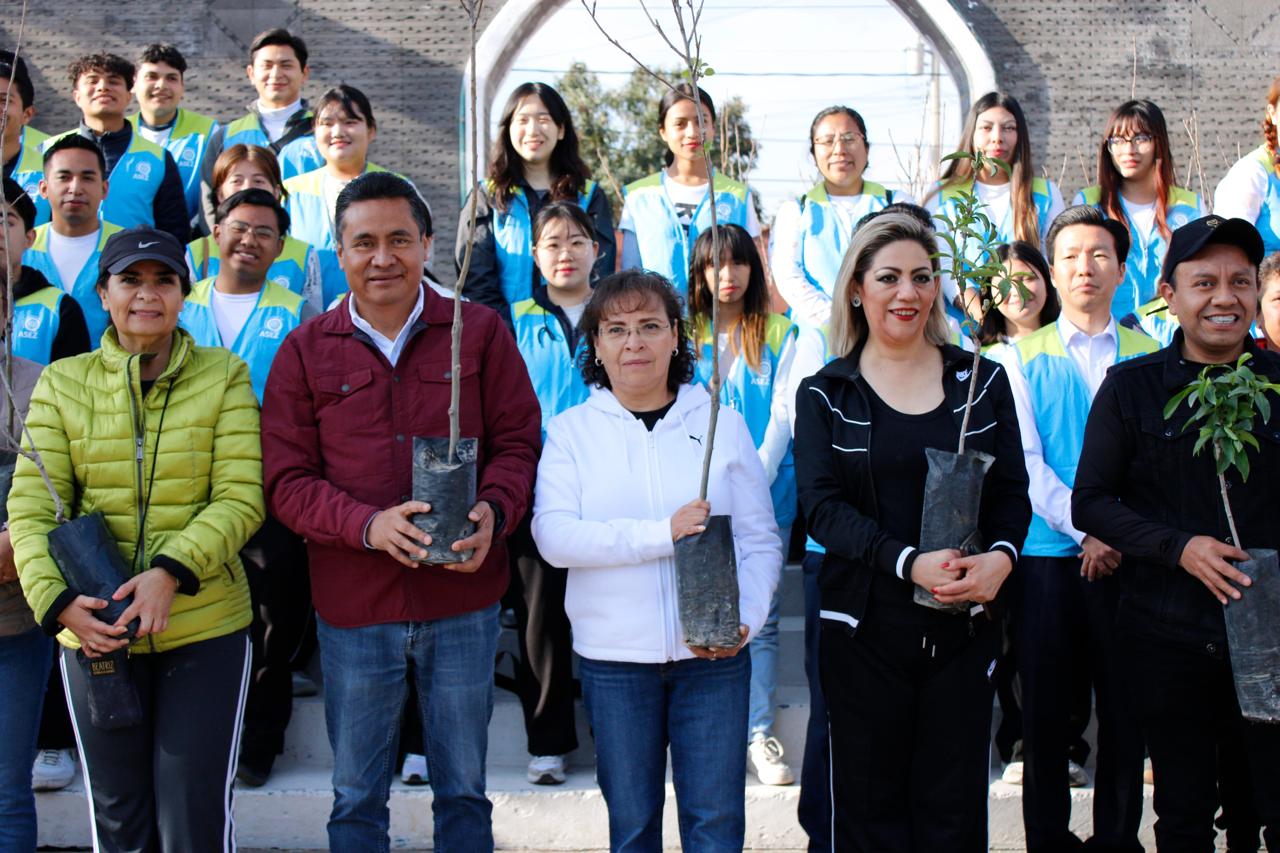 reforestación coronango 4