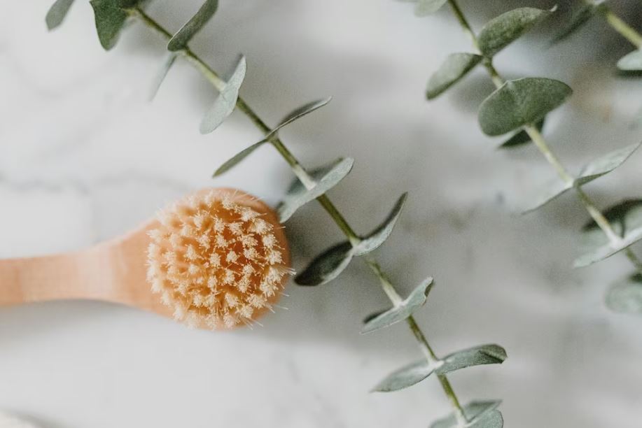 Foto: Cortesía Té de eucalipto: un aliado natural para la salud respiratoria