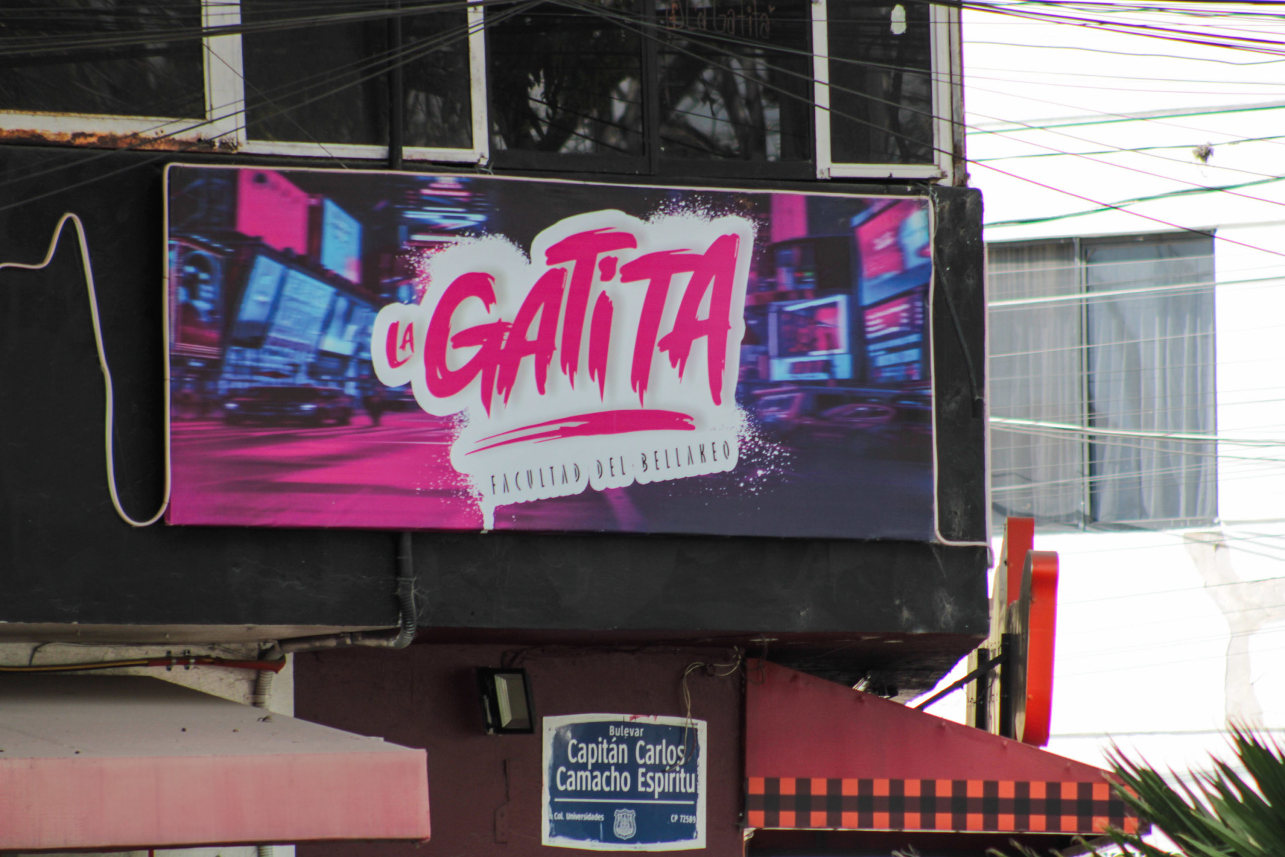 Foto: Cortesía Clausuran bares clandestinos en inmediaciones de Ciudad Universitaria