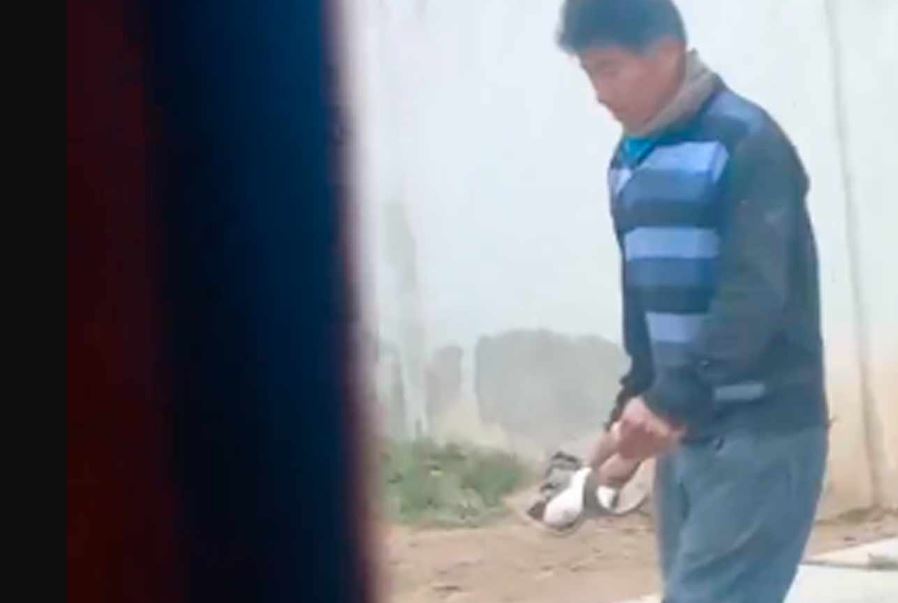 Foto: Cortesía Maltrato animal en Coronango: hombre lanza cachorros con una pala