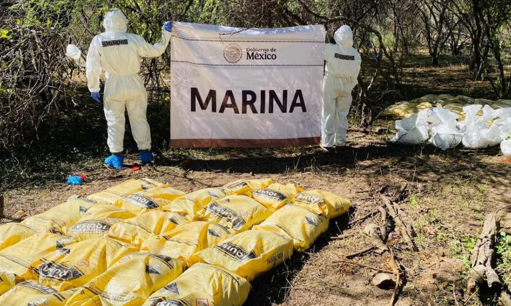 Foto: Cortesía Operativo histórico en Sinaloa: 20 narcolaboratorios desmantelados