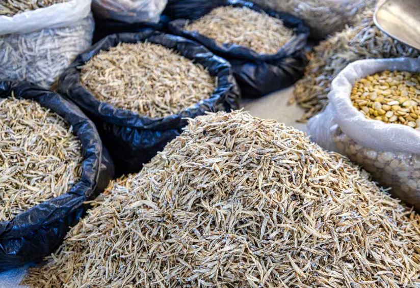 Foto: Cortesía Charales: Un superalimento mexicano lleno de beneficios