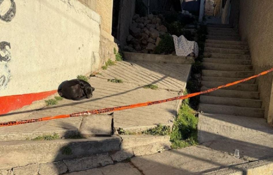 Foto: Cortesía Balacera en Naucalpan deja un muerto y desata fuerte operativo