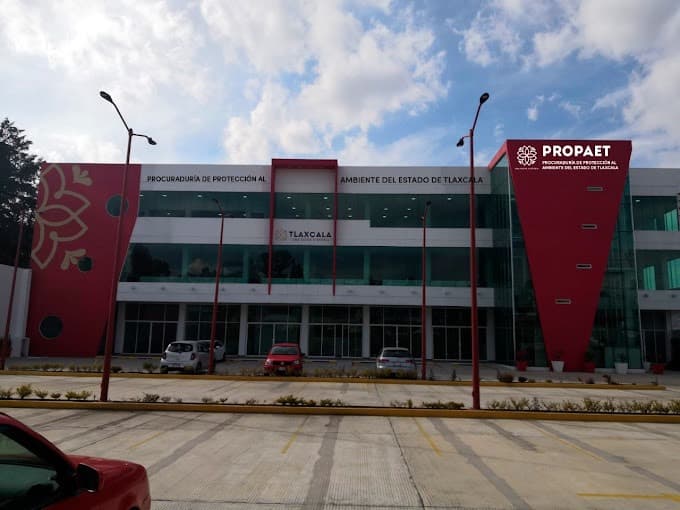 Foto: Cortesía Maltrato animal en Tlaxcala: Denuncia, cuida y protege a tus mascotas