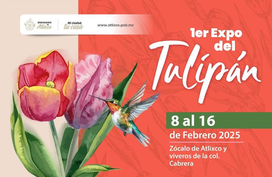 Foto: Cortesía Atlixco se llena de color con la Primera Expo Tulipán 2025