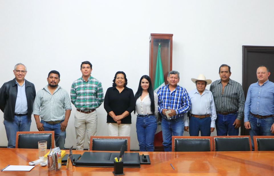 Foto: Cortesía Puebla refuerza su liderazgo en producción de sorgo con nuevas estrategias