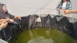 Foto: Cortesía UATx y Tzompantepec colaboran en producción sostenible de tilapia