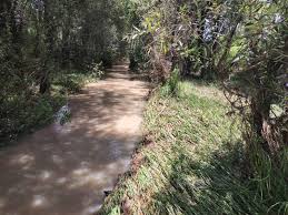 CONAGUA alerta por riesgo de inundación en el río Ajejela, Tlaxcala