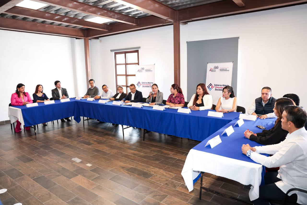 nuevo consejo ciudadano 2