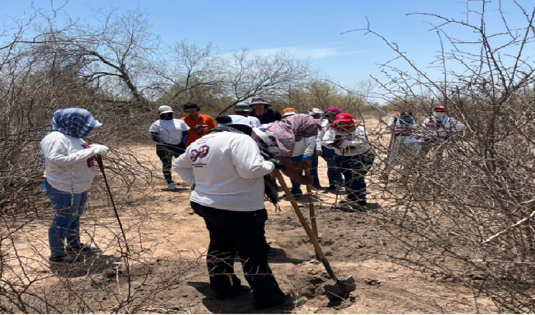 Foto: Cortesía Hallan fosas con restos humanos y ropa en zona rural de Hermosillo