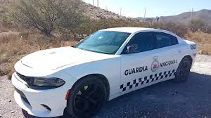 Foto: Cortesía Aseguran patrullas clonadas usadas por criminales en Nuevo León