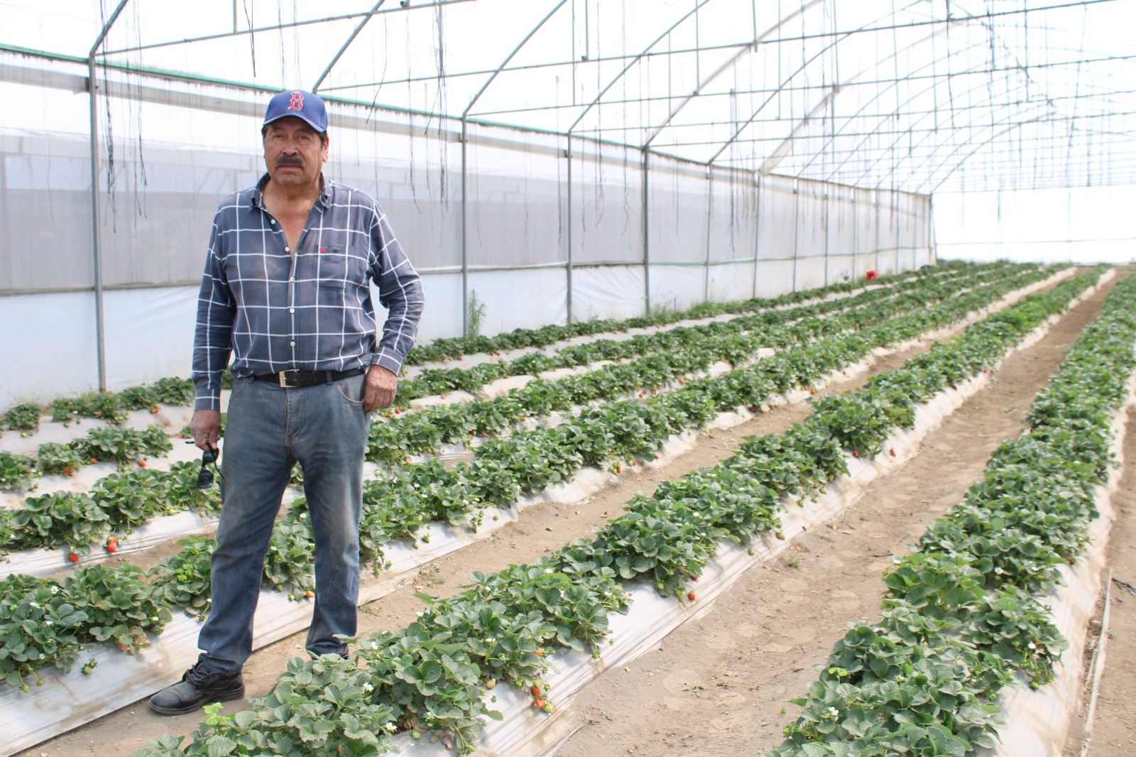 Más de 23 mdp en créditos Fomtlax fortalecen MiPyMEs de Tlaxcala