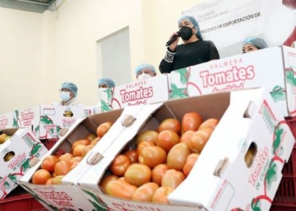 Arancel al jitomate traería pérdidas por hasta 140 mdd en Puebla