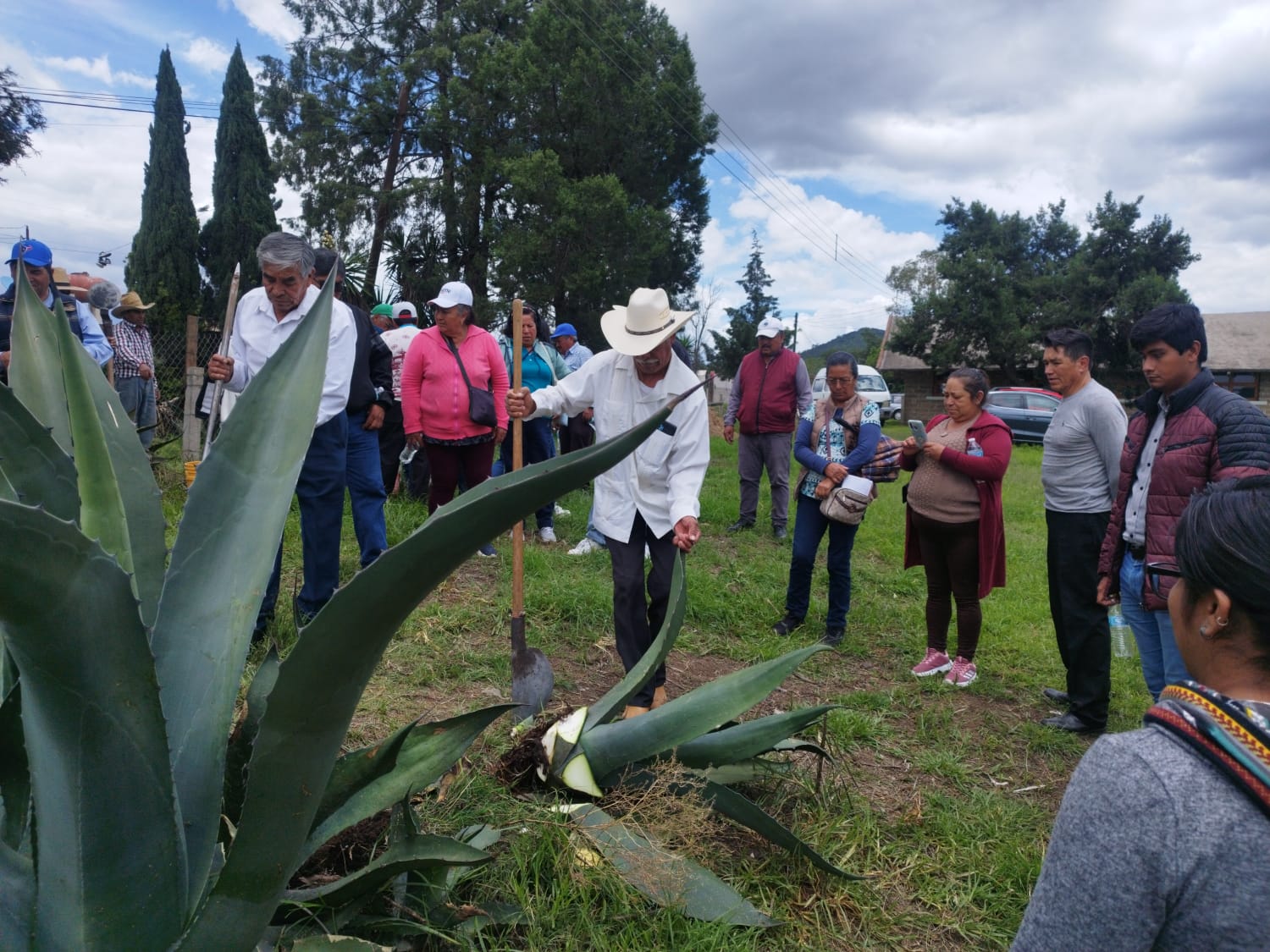 Formación técnica impulsa desarrollo rural sustentable en el campo de Tlaxcala