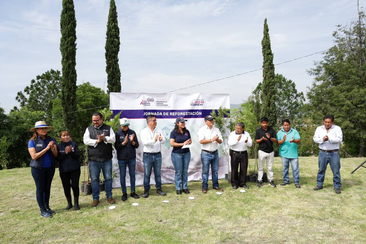 cerro san miguel pulmon sach 4