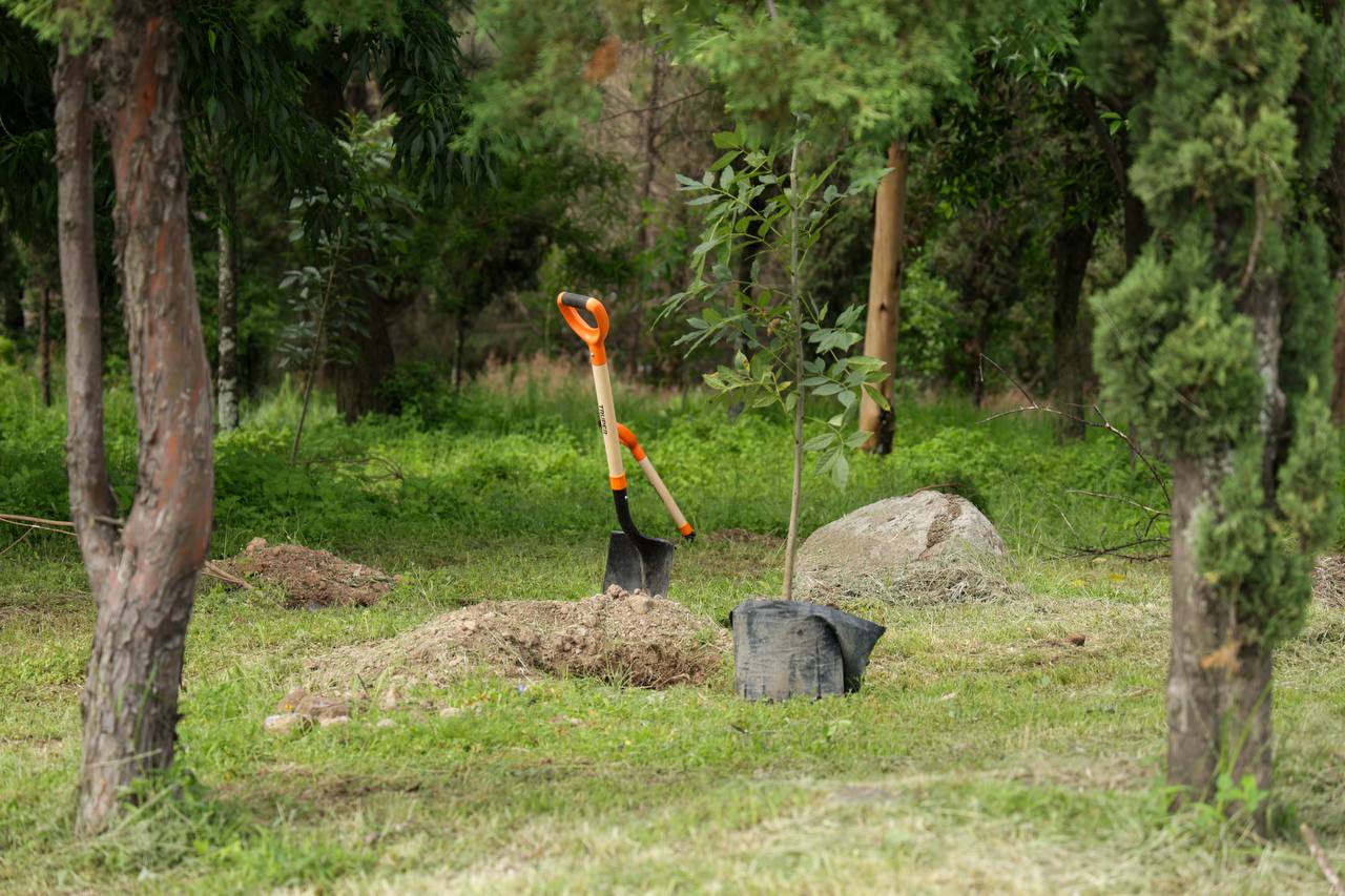 cerro san miguel pulmon sach1