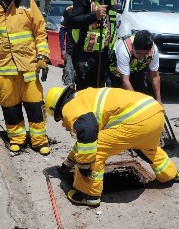 Por: Cortesía Lula Pineda Rescatan a perrito atrapado en alcantarilla gracias a la oportuna respuesta de Bomberos y Protección Civil