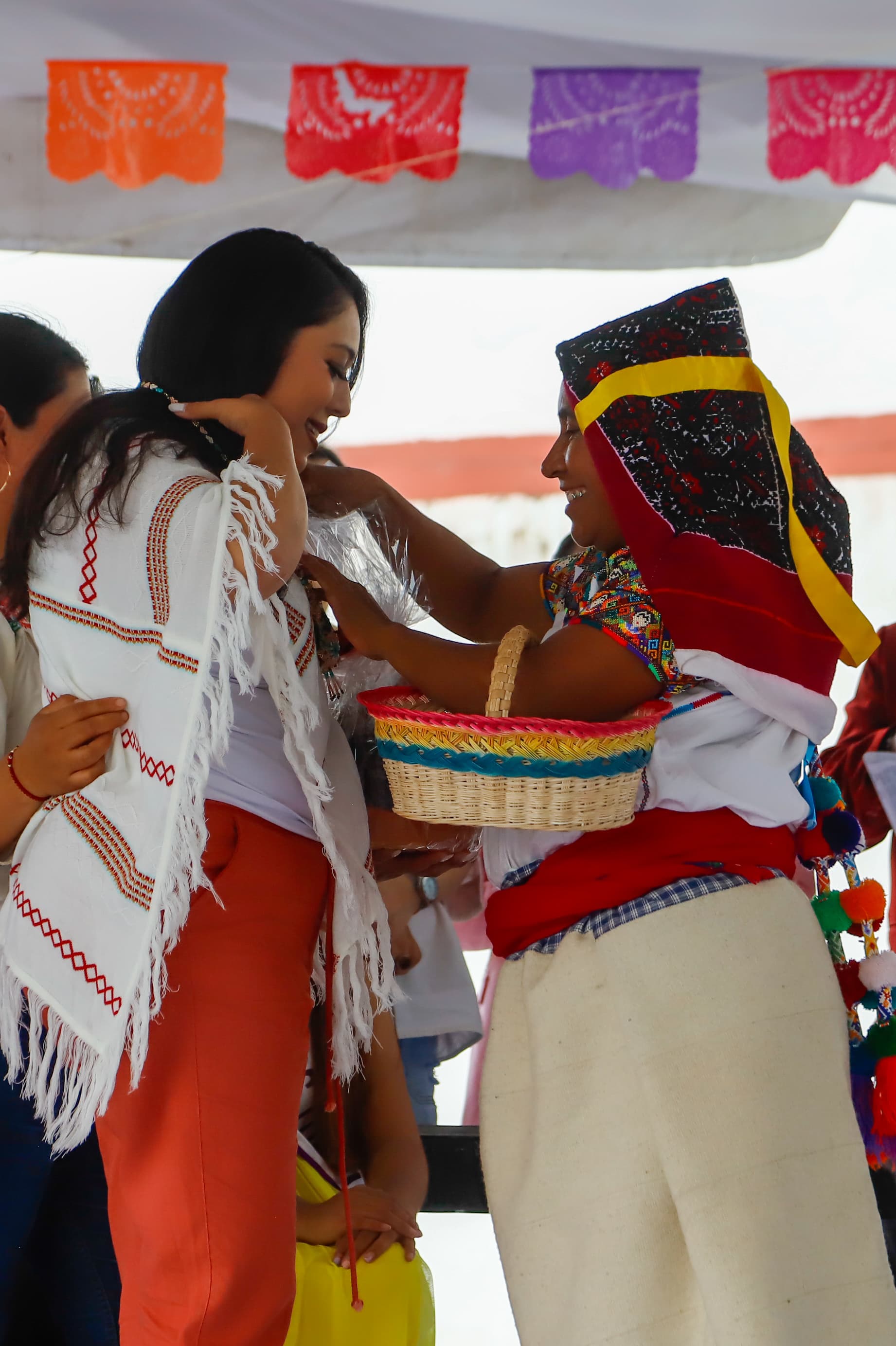 tfd impulsa mujeres indigenas 4