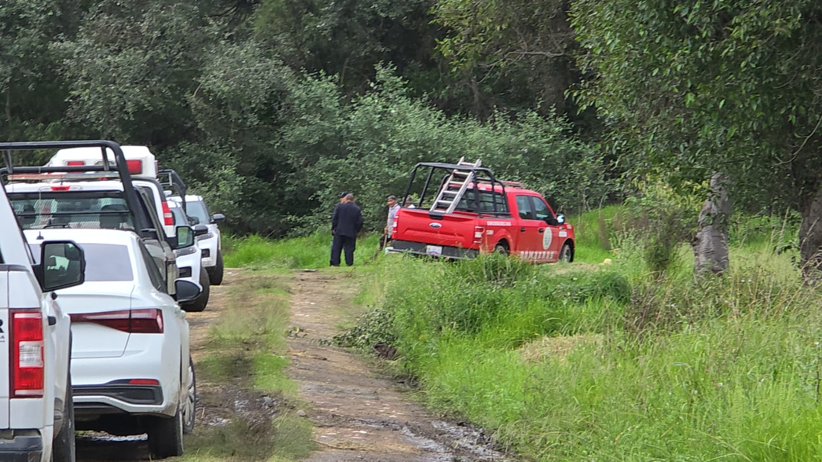 Hallan al menos dos cuerpos enterrados en terrenos de labor en La Concordia, Nativitas