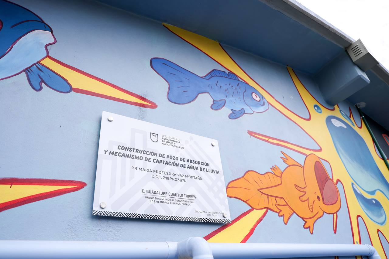 sistema pluvial esc prim profra. paz montaño 3