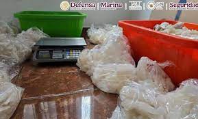 Foto: Cortesía Enfrentamiento en Morelia deja decomiso de 800 kg de metanfetamina y laboratorio