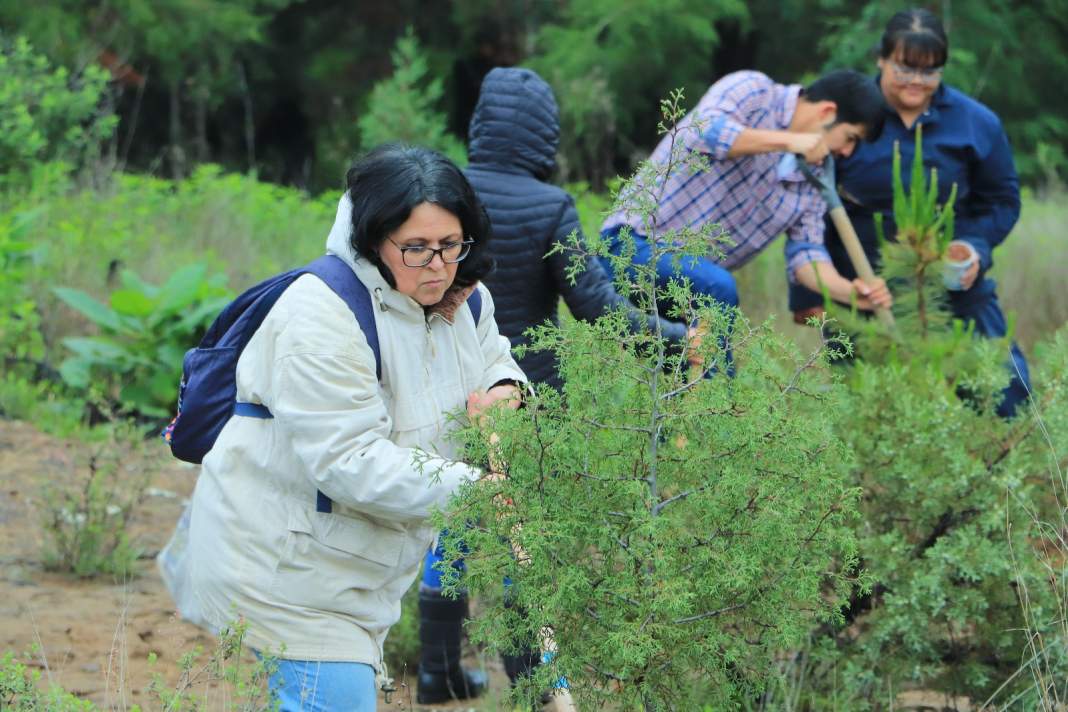 UATx y Metepec reforestan cerro San Gregorio con flora nativa