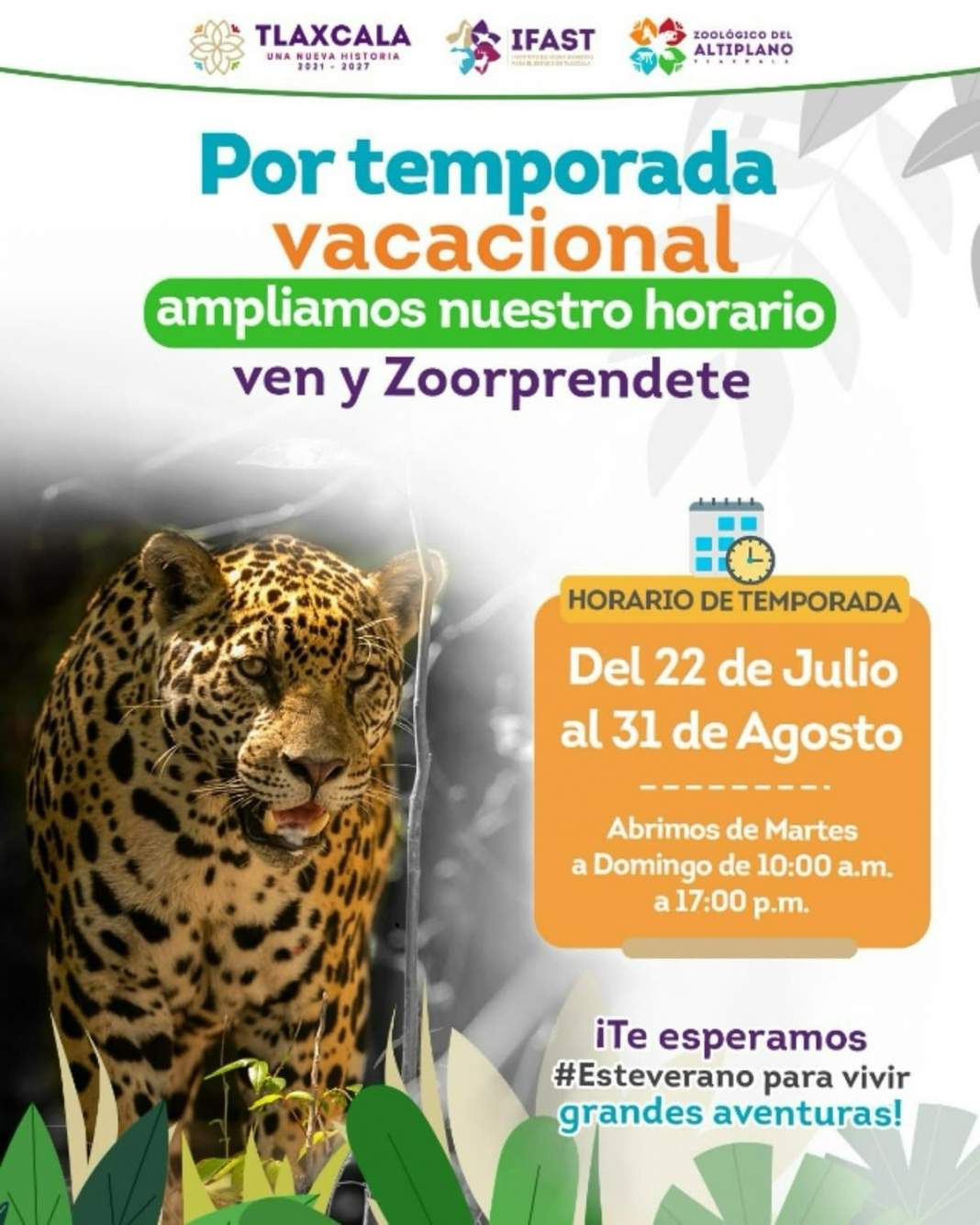 Disfruta el Zoológico del Altiplano con horario extendido estas vacaciones