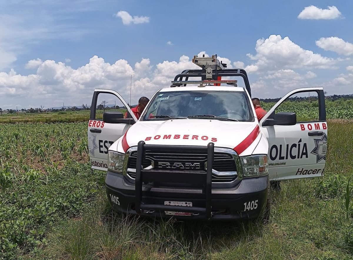 Por: Cortesía Lula Pineda Rescatan a perrito que cayó a una barranca en San Martín Zoquiapan