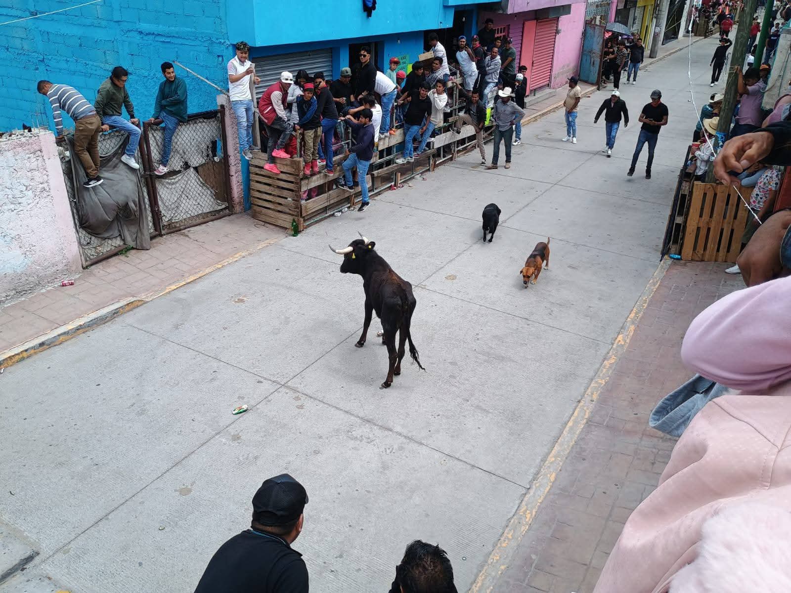 Desorganización y caos durante la Tetlada 2025