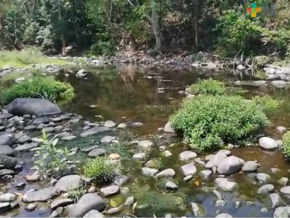 Contaminación en riachuelo El Potrero: autoridades sin plan para evitar daños