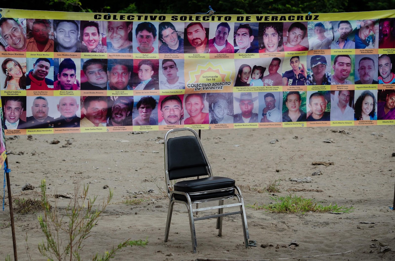 Foto: Cortesía Ciencia y drones: así buscan fosas clandestinas en México con cerdos