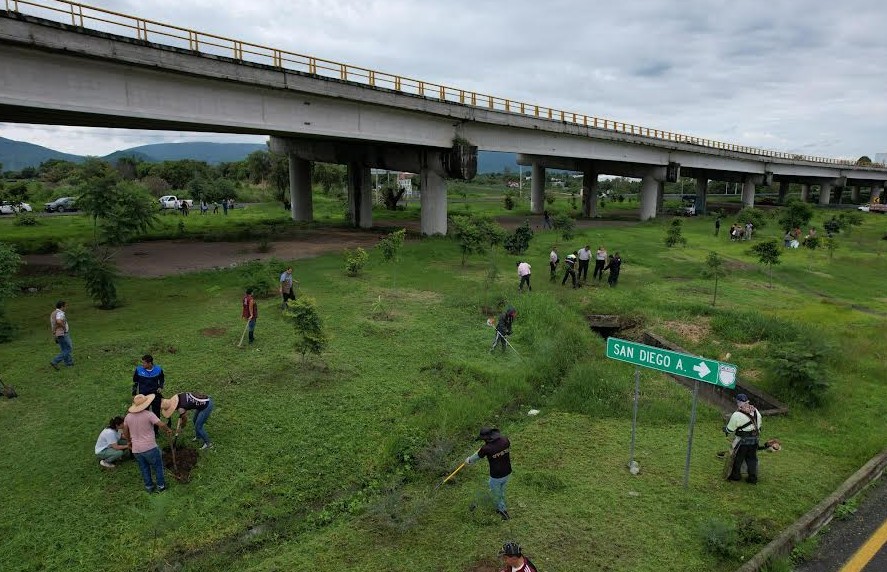 Foto: Cortesía Reforestan puente Cantarranas con más de 100 árboles