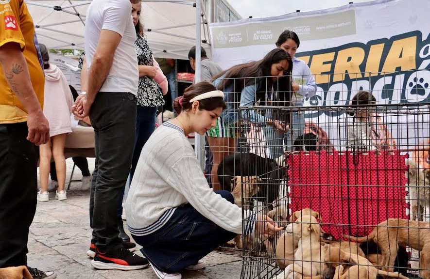 Foto: Cortesía Atlixco impulsa el bienestar animal con más de 200 adopciones
